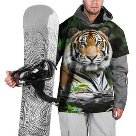 Накидка на куртку 3D с принтом Тигр в джунглях в Санкт-Петербурге, 100% полиэстер |  | Тематика изображения на принте: амурский | животные | зверь | киса | кот | котенок | кошка | тигр | хищник