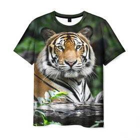 Мужская футболка 3D с принтом Тигр в джунглях в Санкт-Петербурге, 100% полиэфир | прямой крой, круглый вырез горловины, длина до линии бедер | амурский | животные | зверь | киса | кот | котенок | кошка | тигр | хищник