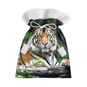 Подарочный 3D мешок с принтом Тигр в джунглях в Санкт-Петербурге, 100% полиэстер | Размер: 29*39 см | амурский | животные | зверь | киса | кот | котенок | кошка | тигр | хищник