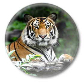 Значок с принтом Тигр в джунглях в Санкт-Петербурге,  металл | круглая форма, металлическая застежка в виде булавки | Тематика изображения на принте: амурский | животные | зверь | киса | кот | котенок | кошка | тигр | хищник