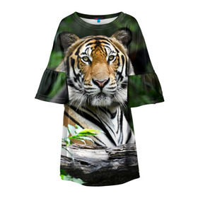 Детское платье 3D с принтом Тигр в джунглях в Санкт-Петербурге, 100% полиэстер | прямой силуэт, чуть расширенный к низу. Круглая горловина, на рукавах — воланы | Тематика изображения на принте: амурский | животные | зверь | киса | кот | котенок | кошка | тигр | хищник