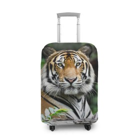 Чехол для чемодана 3D с принтом Тигр в джунглях в Санкт-Петербурге, 86% полиэфир, 14% спандекс | двустороннее нанесение принта, прорези для ручек и колес | амурский | животные | зверь | киса | кот | котенок | кошка | тигр | хищник