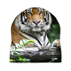 Шапка 3D с принтом Тигр в джунглях в Санкт-Петербурге, 100% полиэстер | универсальный размер, печать по всей поверхности изделия | амурский | животные | зверь | киса | кот | котенок | кошка | тигр | хищник