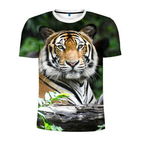 Мужская футболка 3D спортивная с принтом Тигр в джунглях в Санкт-Петербурге, 100% полиэстер с улучшенными характеристиками | приталенный силуэт, круглая горловина, широкие плечи, сужается к линии бедра | амурский | животные | зверь | киса | кот | котенок | кошка | тигр | хищник
