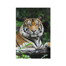 Обложка для паспорта матовая кожа с принтом Тигр в джунглях в Санкт-Петербурге, натуральная матовая кожа | размер 19,3 х 13,7 см; прозрачные пластиковые крепления | Тематика изображения на принте: амурский | животные | зверь | киса | кот | котенок | кошка | тигр | хищник