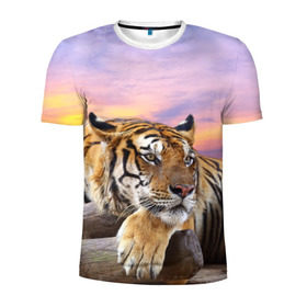 Мужская футболка 3D спортивная с принтом Тигр в Санкт-Петербурге, 100% полиэстер с улучшенными характеристиками | приталенный силуэт, круглая горловина, широкие плечи, сужается к линии бедра | амурский | животные | зверь | киса | кот | котенок | кошка | тигр | хищник
