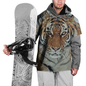 Накидка на куртку 3D с принтом Тигр в Санкт-Петербурге, 100% полиэстер |  | амурский | животные | зверь | киса | кот | котенок | кошка | тигр | хищник