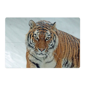 Магнитный плакат 3Х2 с принтом Тигр в Санкт-Петербурге, Полимерный материал с магнитным слоем | 6 деталей размером 9*9 см | амурский | животные | зверь | киса | кот | котенок | кошка | тигр | хищник