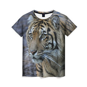 Женская футболка 3D с принтом Тигр в Санкт-Петербурге, 100% полиэфир ( синтетическое хлопкоподобное полотно) | прямой крой, круглый вырез горловины, длина до линии бедер | амурский | животные | зверь | киса | кот | котенок | кошка | тигр | хищник