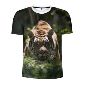 Мужская футболка 3D спортивная с принтом Тигр в Санкт-Петербурге, 100% полиэстер с улучшенными характеристиками | приталенный силуэт, круглая горловина, широкие плечи, сужается к линии бедра | амурский | животные | зверь | киса | кот | котенок | кошка | тигр | хищник