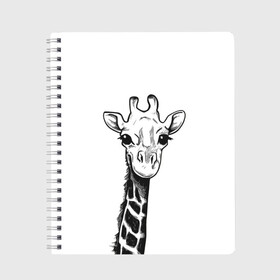 Тетрадь с принтом Жираф в Санкт-Петербурге, 100% бумага | 48 листов, плотность листов — 60 г/м2, плотность картонной обложки — 250 г/м2. Листы скреплены сбоку удобной пружинной спиралью. Уголки страниц и обложки скругленные. Цвет линий — светло-серый
 | арт | взгляд | глаза | животные | жираф | прикольные