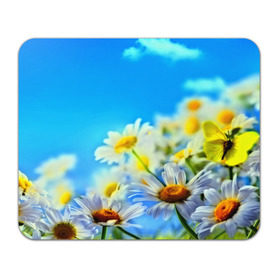 Коврик прямоугольный с принтом Ромашка полевая в Санкт-Петербурге, натуральный каучук | размер 230 х 185 мм; запечатка лицевой стороны | flower | лето | поле | полевой цветок | цветочки | цветы