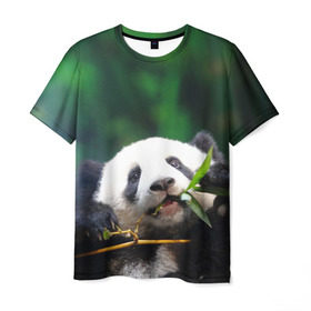Мужская футболка 3D с принтом Панда на ветке в Санкт-Петербурге, 100% полиэфир | прямой крой, круглый вырез горловины, длина до линии бедер | животные | лес | медведь | медвежонок | панда | природа