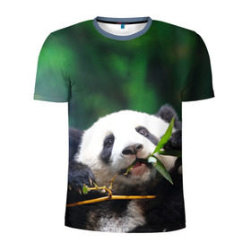 Мужская футболка 3D спортивная с принтом Панда на ветке в Санкт-Петербурге, 100% полиэстер с улучшенными характеристиками | приталенный силуэт, круглая горловина, широкие плечи, сужается к линии бедра | Тематика изображения на принте: животные | лес | медведь | медвежонок | панда | природа