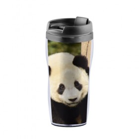 Термокружка-непроливайка с принтом Панда на дереве в Санкт-Петербурге, внутренняя часть — пищевой пластик, наружная часть — прозрачный пластик, между ними — полиграфическая вставка с рисунком | объем — 350 мл, герметичная крышка | животные | лес | медведь | медвежонок | панда | природа