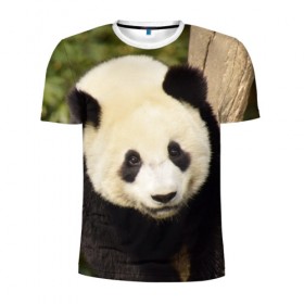 Мужская футболка 3D спортивная с принтом Панда на дереве в Санкт-Петербурге, 100% полиэстер с улучшенными характеристиками | приталенный силуэт, круглая горловина, широкие плечи, сужается к линии бедра | животные | лес | медведь | медвежонок | панда | природа