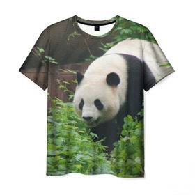 Мужская футболка 3D с принтом Панда в лесу в Санкт-Петербурге, 100% полиэфир | прямой крой, круглый вырез горловины, длина до линии бедер | Тематика изображения на принте: животные | лес | медведь | медвежонок | панда | природа