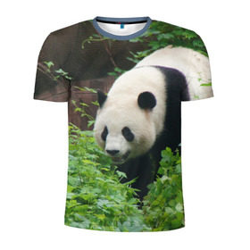 Мужская футболка 3D спортивная с принтом Панда в лесу в Санкт-Петербурге, 100% полиэстер с улучшенными характеристиками | приталенный силуэт, круглая горловина, широкие плечи, сужается к линии бедра | Тематика изображения на принте: животные | лес | медведь | медвежонок | панда | природа