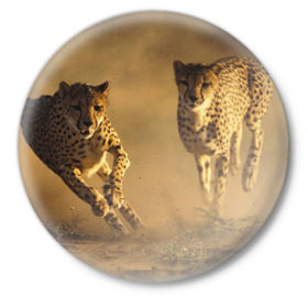 Значок с принтом Гепард в Санкт-Петербурге,  металл | круглая форма, металлическая застежка в виде булавки | амурский | гепард | животные | зверь | киса | кот | котенок | кошка | лев | леопард | пума | рысь | серый | тигр | тигренок | хищник