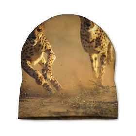 Шапка 3D с принтом Гепард в Санкт-Петербурге, 100% полиэстер | универсальный размер, печать по всей поверхности изделия | Тематика изображения на принте: амурский | гепард | животные | зверь | киса | кот | котенок | кошка | лев | леопард | пума | рысь | серый | тигр | тигренок | хищник
