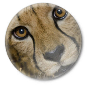 Значок с принтом Гепард в Санкт-Петербурге,  металл | круглая форма, металлическая застежка в виде булавки | Тематика изображения на принте: амурский | гепард | животные | зверь | киса | кот | котенок | кошка | лев | леопард | пума | рысь | серый | тигр | тигренок | хищник