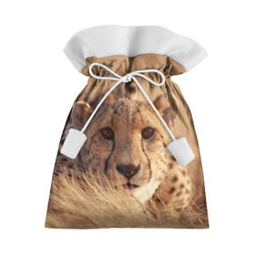 Подарочный 3D мешок с принтом Гепард в Санкт-Петербурге, 100% полиэстер | Размер: 29*39 см | амурский | гепард | животные | зверь | киса | кот | котенок | кошка | лев | леопард | пума | рысь | серый | тигр | тигренок | хищник