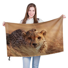 Флаг 3D с принтом Гепард в Санкт-Петербурге, 100% полиэстер | плотность ткани — 95 г/м2, размер — 67 х 109 см. Принт наносится с одной стороны | амурский | гепард | животные | зверь | киса | кот | котенок | кошка | лев | леопард | пума | рысь | серый | тигр | тигренок | хищник