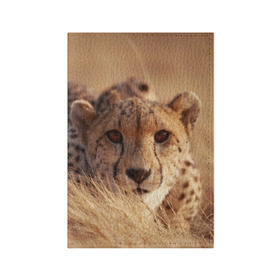 Обложка для паспорта матовая кожа с принтом Гепард в Санкт-Петербурге, натуральная матовая кожа | размер 19,3 х 13,7 см; прозрачные пластиковые крепления | амурский | гепард | животные | зверь | киса | кот | котенок | кошка | лев | леопард | пума | рысь | серый | тигр | тигренок | хищник