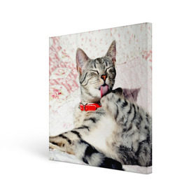Холст квадратный с принтом Кошка в Санкт-Петербурге, 100% ПВХ |  | cat | collar | heel | licking | lying | red | striped | кошка | красный | лежит | лижет | ошейник | полосатая | пятка