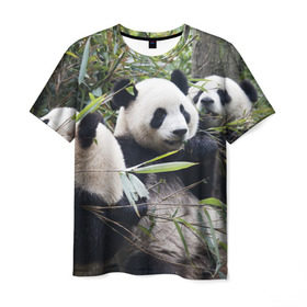 Мужская футболка 3D с принтом Семейка панд в Санкт-Петербурге, 100% полиэфир | прямой крой, круглый вырез горловины, длина до линии бедер | бамбук | животное | зверь | косолапый | лес | медведи | медведь | миша | мишка | мишутка | млекопитающее | панда | природа | трое