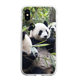 Чехол для iPhone XS Max матовый с принтом Семейка панд в Санкт-Петербурге, Силикон | Область печати: задняя сторона чехла, без боковых панелей | Тематика изображения на принте: бамбук | животное | зверь | косолапый | лес | медведи | медведь | миша | мишка | мишутка | млекопитающее | панда | природа | трое