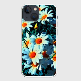 Чехол для iPhone 13 mini с принтом Полевые ромашки в Санкт-Петербурге,  |  | flower | лето | полевой цветок | цветочки | цветы