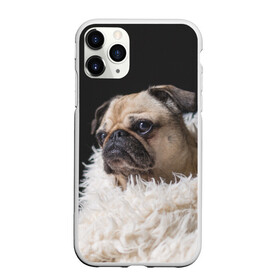 Чехол для iPhone 11 Pro матовый с принтом Мопс в Санкт-Петербурге, Силикон |  | бульдог | мопс | мопсик | мопсы | пес | песик | песики | собака | собаки | собачка