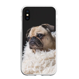 Чехол для iPhone XS Max матовый с принтом Мопс в Санкт-Петербурге, Силикон | Область печати: задняя сторона чехла, без боковых панелей | бульдог | мопс | мопсик | мопсы | пес | песик | песики | собака | собаки | собачка