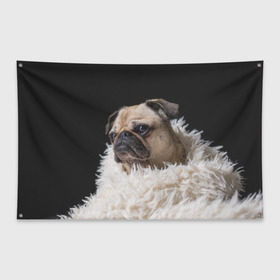 Флаг-баннер с принтом Мопс в Санкт-Петербурге, 100% полиэстер | размер 67 х 109 см, плотность ткани — 95 г/м2; по краям флага есть четыре люверса для крепления | бульдог | мопс | мопсик | мопсы | пес | песик | песики | собака | собаки | собачка