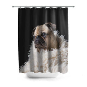 Штора 3D для ванной с принтом Мопс в Санкт-Петербурге, 100% полиэстер | плотность материала — 100 г/м2. Стандартный размер — 146 см х 180 см. По верхнему краю — пластиковые люверсы для креплений. В комплекте 10 пластиковых колец | бульдог | мопс | мопсик | мопсы | пес | песик | песики | собака | собаки | собачка