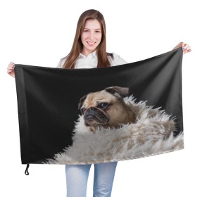 Флаг 3D с принтом Мопс в Санкт-Петербурге, 100% полиэстер | плотность ткани — 95 г/м2, размер — 67 х 109 см. Принт наносится с одной стороны | бульдог | мопс | мопсик | мопсы | пес | песик | песики | собака | собаки | собачка