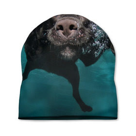 Шапка 3D с принтом Пес дайвер в Санкт-Петербурге, 100% полиэстер | универсальный размер, печать по всей поверхности изделия | Тематика изображения на принте: вода | гребет | дайвер | животное | купается | лапы | нос | пес | плавец | плывет | под водой | прикольный | пузыри | смешной | собака | щенок