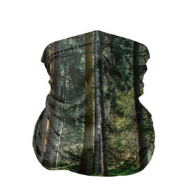 Бандана-труба 3D с принтом Темный лес в Санкт-Петербурге, 100% полиэстер, ткань с особыми свойствами — Activecool | плотность 150‒180 г/м2; хорошо тянется, но сохраняет форму | бор | деревья | ель | ельник | заповедник | камни | красивый | лес | лето | мох | мрачный | прекрасный | природа | флора | чудесный