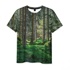 Мужская футболка 3D с принтом Темный лес в Санкт-Петербурге, 100% полиэфир | прямой крой, круглый вырез горловины, длина до линии бедер | Тематика изображения на принте: бор | деревья | ель | ельник | заповедник | камни | красивый | лес | лето | мох | мрачный | прекрасный | природа | флора | чудесный