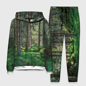 Мужской костюм 3D (с толстовкой) с принтом Темный лес в Санкт-Петербурге,  |  | Тематика изображения на принте: бор | деревья | ель | ельник | заповедник | камни | красивый | лес | лето | мох | мрачный | прекрасный | природа | флора | чудесный