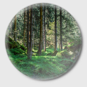 Значок с принтом Темный лес в Санкт-Петербурге,  металл | круглая форма, металлическая застежка в виде булавки | бор | деревья | ель | ельник | заповедник | камни | красивый | лес | лето | мох | мрачный | прекрасный | природа | флора | чудесный