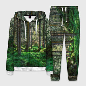 Мужской костюм 3D с принтом Темный лес в Санкт-Петербурге, 100% полиэстер | Манжеты и пояс оформлены тканевой резинкой, двухслойный капюшон со шнурком для регулировки, карманы спереди | бор | деревья | ель | ельник | заповедник | камни | красивый | лес | лето | мох | мрачный | прекрасный | природа | флора | чудесный
