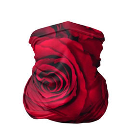 Бандана-труба 3D с принтом Красные розы в Санкт-Петербурге, 100% полиэстер, ткань с особыми свойствами — Activecool | плотность 150‒180 г/м2; хорошо тянется, но сохраняет форму | 8 марта | букет | весна | дары флоры | женщине | красные | лепестки | лето | любовь | отношения | подарок | розы | романтика | флора | цветок | цветы