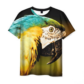Мужская футболка 3D с принтом Попугай в Санкт-Петербурге, 100% полиэфир | прямой крой, круглый вырез горловины, длина до линии бедер | двое | классный | клюв | красивый | крылья | попугай | попугайчик | птица | птичка | радужный