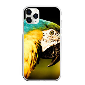 Чехол для iPhone 11 Pro матовый с принтом Попугай в Санкт-Петербурге, Силикон |  | Тематика изображения на принте: двое | классный | клюв | красивый | крылья | попугай | попугайчик | птица | птичка | радужный