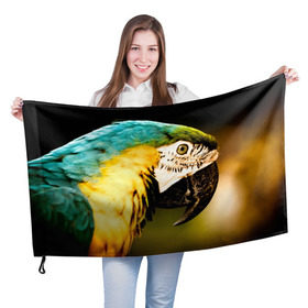 Флаг 3D с принтом Попугай в Санкт-Петербурге, 100% полиэстер | плотность ткани — 95 г/м2, размер — 67 х 109 см. Принт наносится с одной стороны | двое | классный | клюв | красивый | крылья | попугай | попугайчик | птица | птичка | радужный