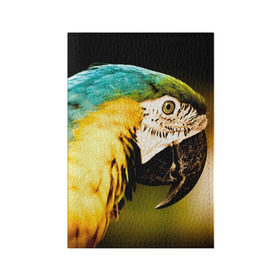 Обложка для паспорта матовая кожа с принтом Попугай в Санкт-Петербурге, натуральная матовая кожа | размер 19,3 х 13,7 см; прозрачные пластиковые крепления | Тематика изображения на принте: двое | классный | клюв | красивый | крылья | попугай | попугайчик | птица | птичка | радужный