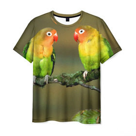 Мужская футболка 3D с принтом Попугаи в Санкт-Петербурге, 100% полиэфир | прямой крой, круглый вырез горловины, длина до линии бедер | двое | классный | клюв | красивый | крылья | попугай | попугайчик | птица | птичка | радужный