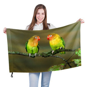 Флаг 3D с принтом Попугаи в Санкт-Петербурге, 100% полиэстер | плотность ткани — 95 г/м2, размер — 67 х 109 см. Принт наносится с одной стороны | двое | классный | клюв | красивый | крылья | попугай | попугайчик | птица | птичка | радужный
